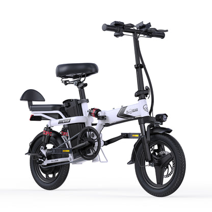 GT-5X Foldable Electric Bike 350W Adult & Kid